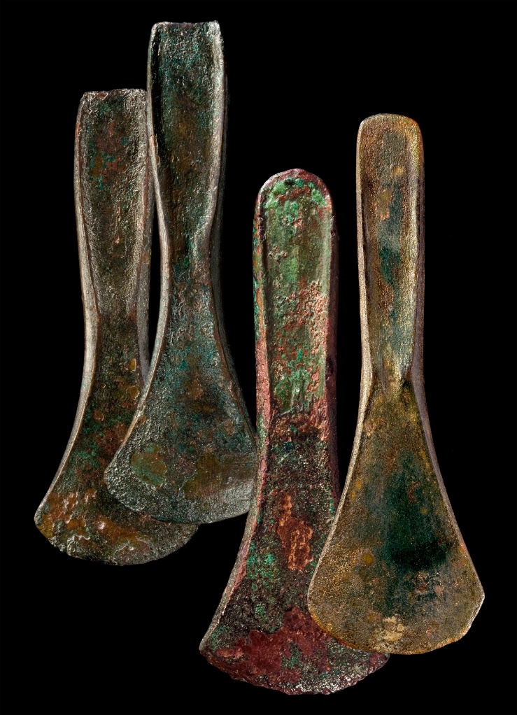 Bronze axes from the Bruszczewo fortified settlement