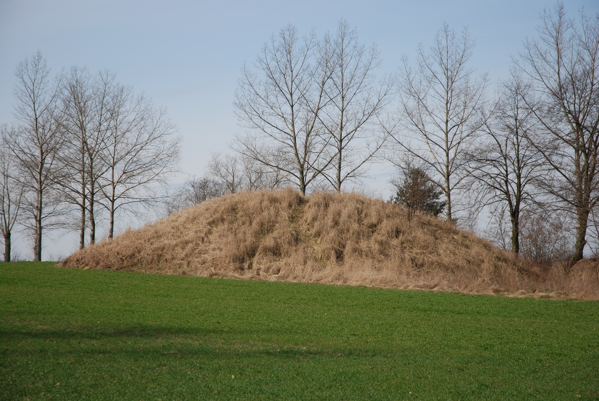 Krajobraz z niewielkim wzniesieniem porośniętym trawą. To tak zwany „grobowiec książęcy” kultury unietyckiej, znajdujący się w Łękach Małych.