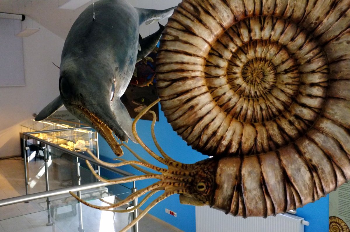 W muzeum wyeksponowane są naturalnych rozmiarów rekonstrukcje zwierząt, które zamieszkiwały lokalne morza i wyspy w późnej jurze. Fot. B. Błażejowski.