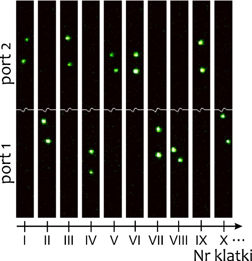 Kolejne klatki z kamery na których zarejestrowano zgrupowane pary fotonów, które połączyły się w efekcie kwantowej interferencji Hong-Ou-Mandela.