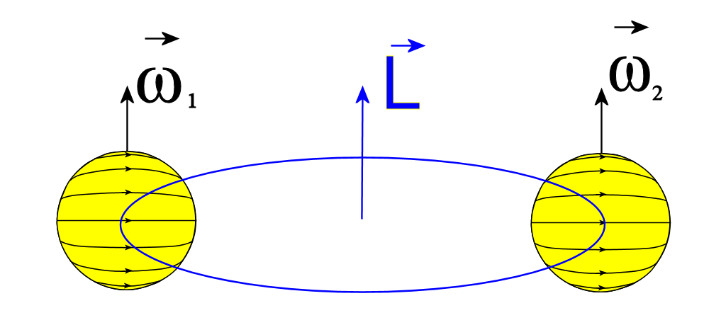 Typowa konfiguracja nachyleń spin-orbita w układach podwójnych. Zakładana w większości publikacji oraz modeli numerycznych powstawania i ewolucji układów podwójnych.